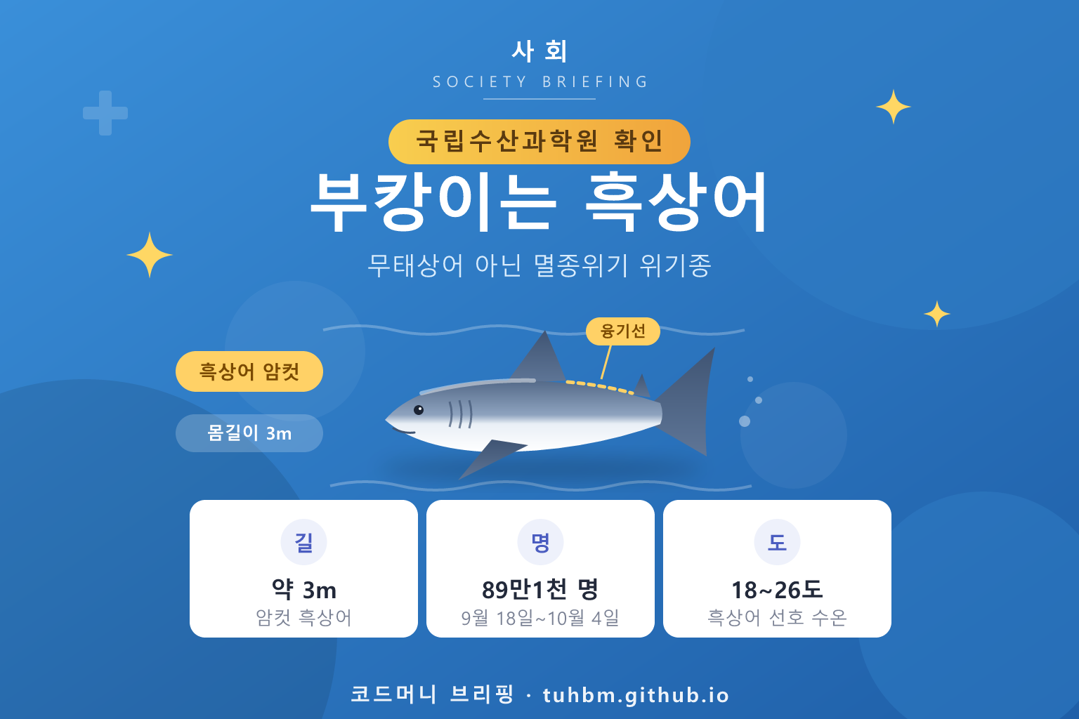 부산 북항 상어 부캉이 흑상어 확인을 나타낸 이미지