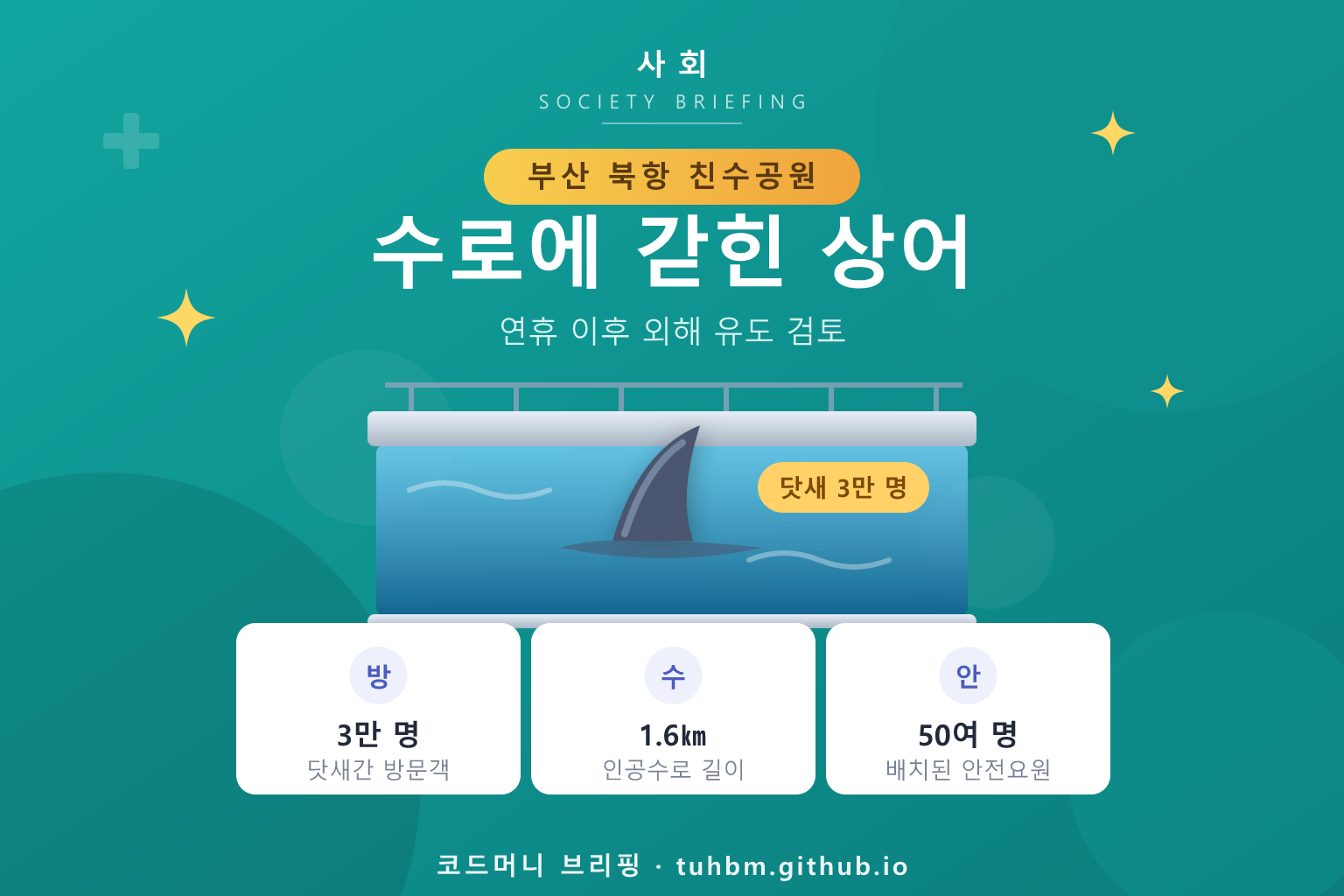 도심 수로에 나타난 상어를 표현한 이미지