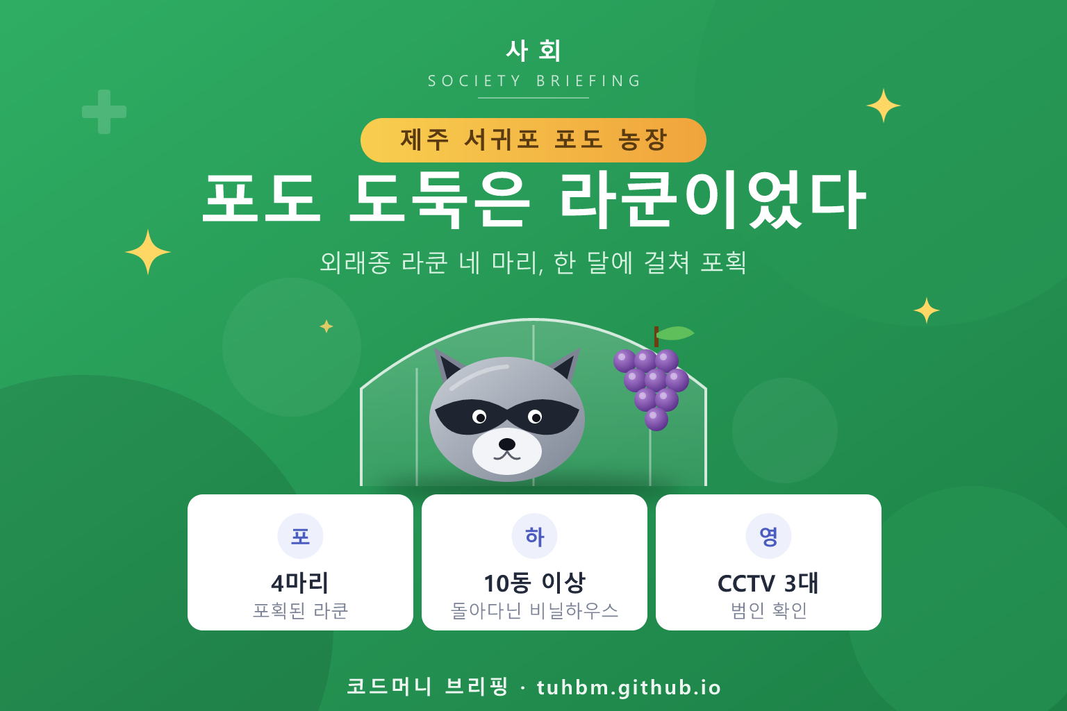 포도송이와 라쿤을 표현한 이미지