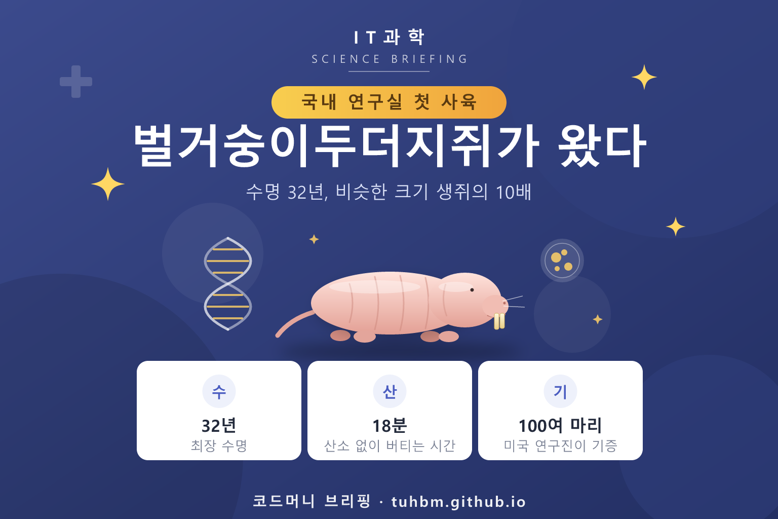 벌거숭이두더지쥐를 표현한 이미지