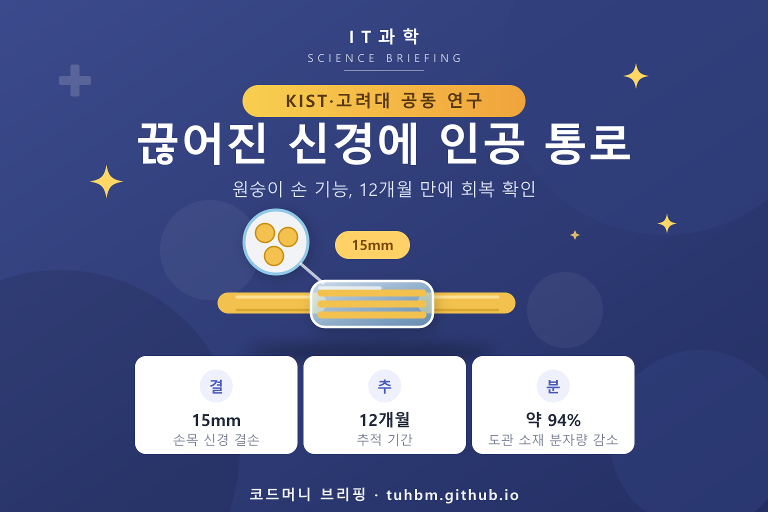 신경을 잇는 인공 도관을 표현한 이미지