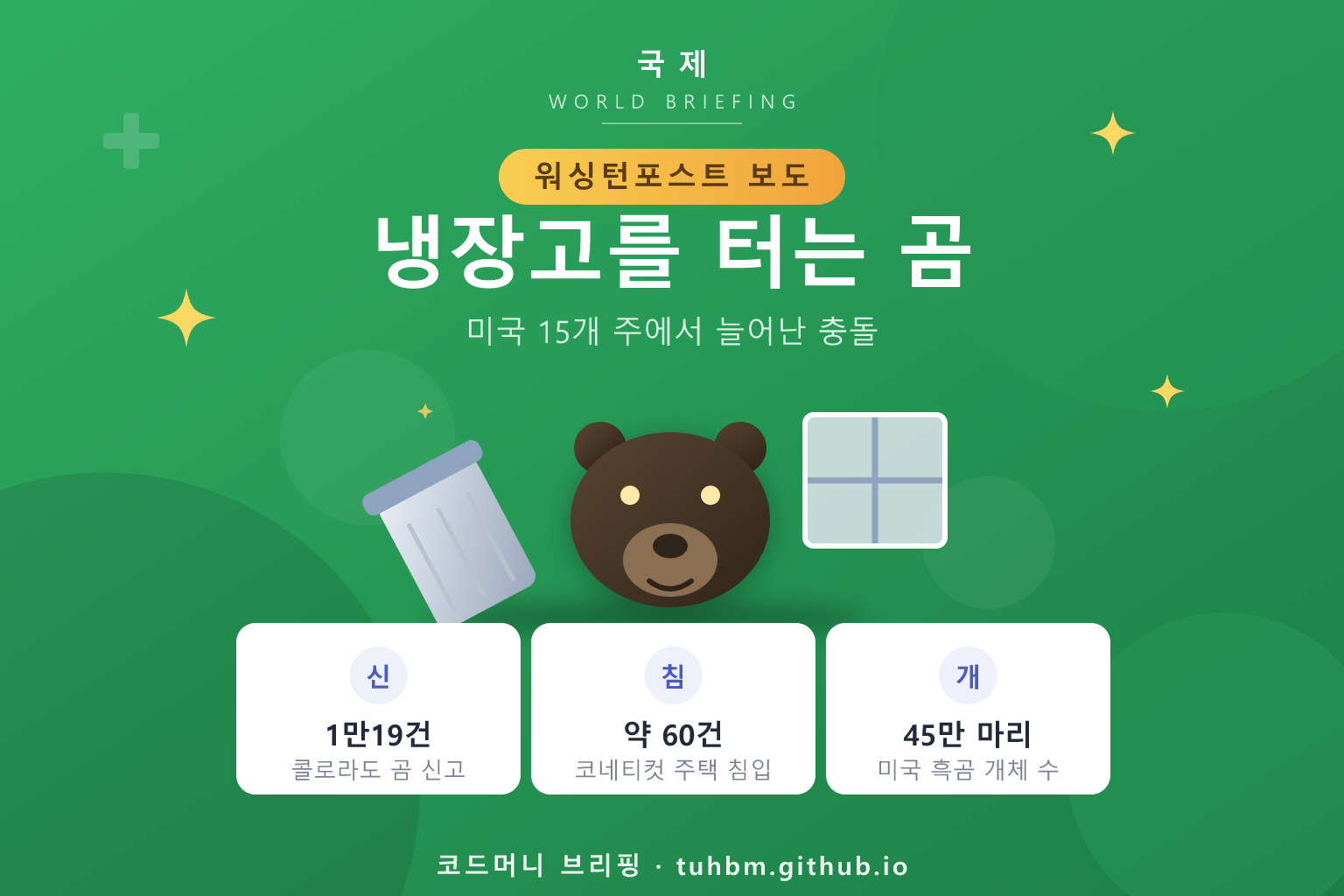 도심에 나타난 흑곰을 표현한 이미지